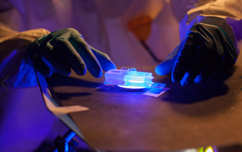 發(fā)表“通過使用熒光光能誘導(dǎo)熒光生物調(diào)節(jié)來管理傷口愈合的所有三個階段”