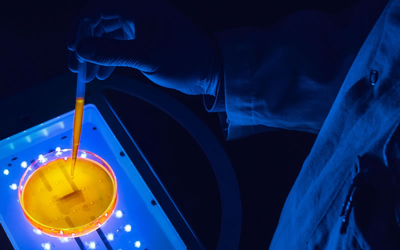 LumiHeal快訊-我們先進(jìn)的傷口護(hù)理產(chǎn)品