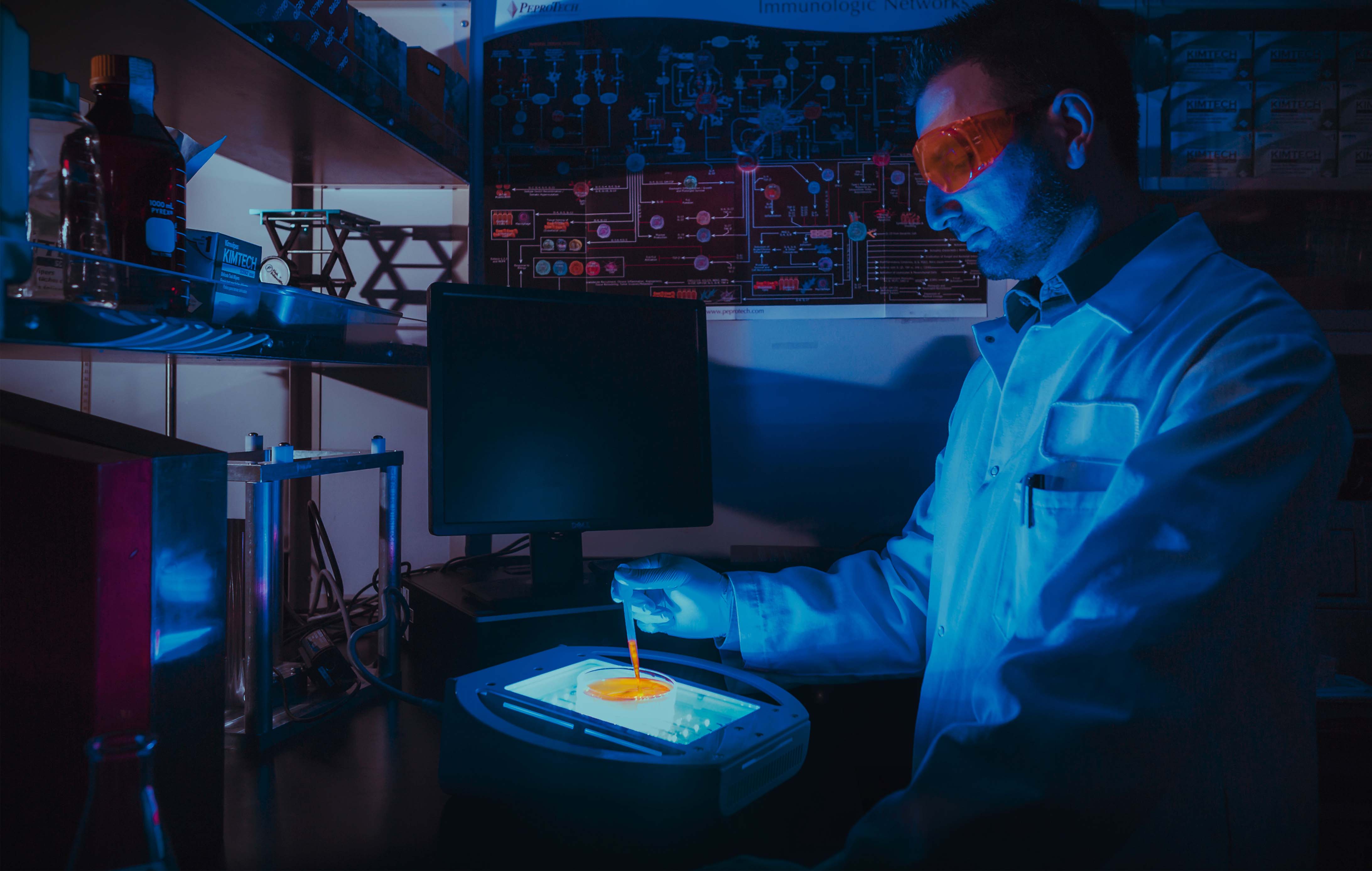 科洛克中歐博士計劃起航