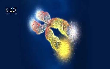 科洛克引領細胞抗衰新模式 | 釋放端粒酶高效作用技術